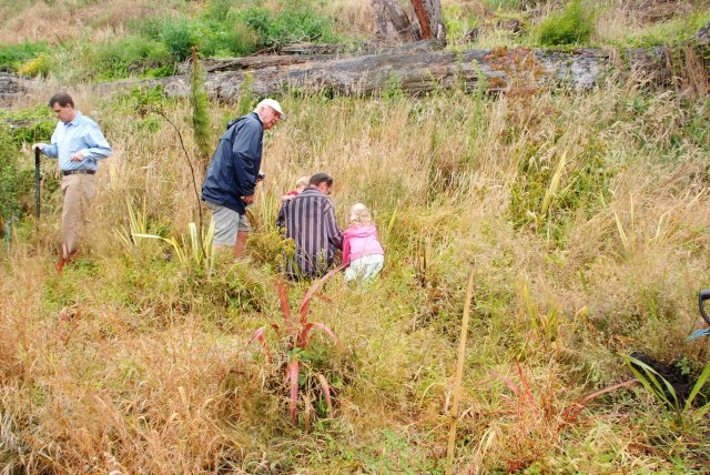 A young helper- Cambridge Tree Trust